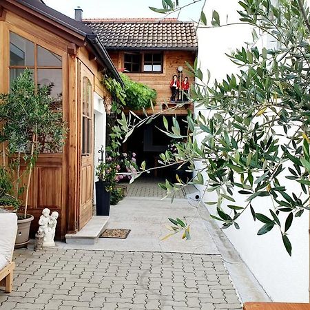 メルビッシュ・アム・ゼーCasa Zaraアパートメント エクステリア 写真